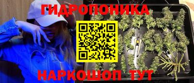 круглые Можга