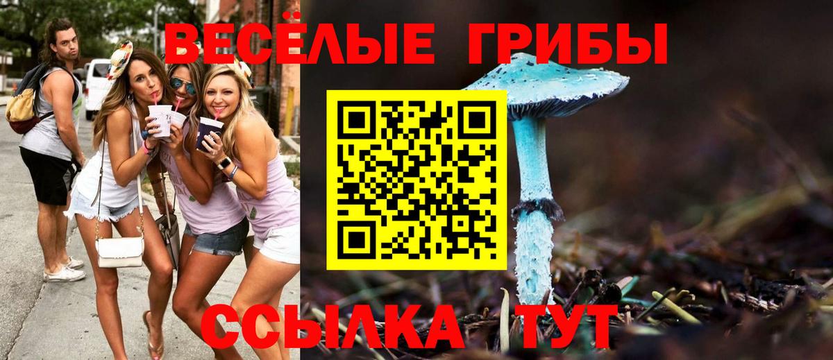 Галлюциногенные грибы прущие грибы Узловая